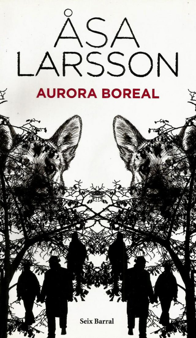 Aurora Boreal - Asa Larson